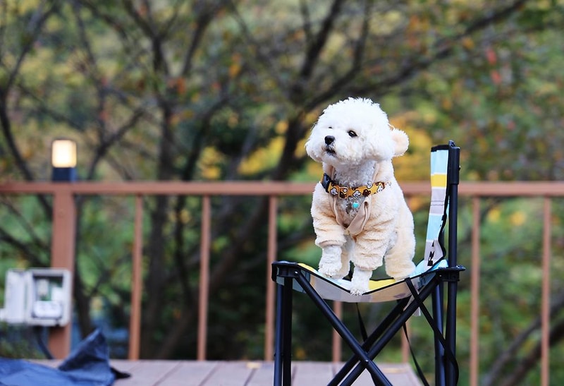 달사랑 캠핑장 시설 사진 20