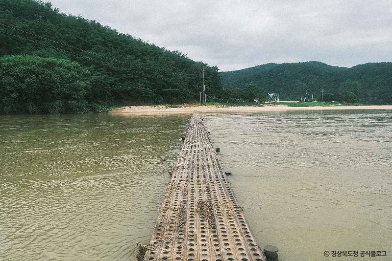 뿅뿅다리