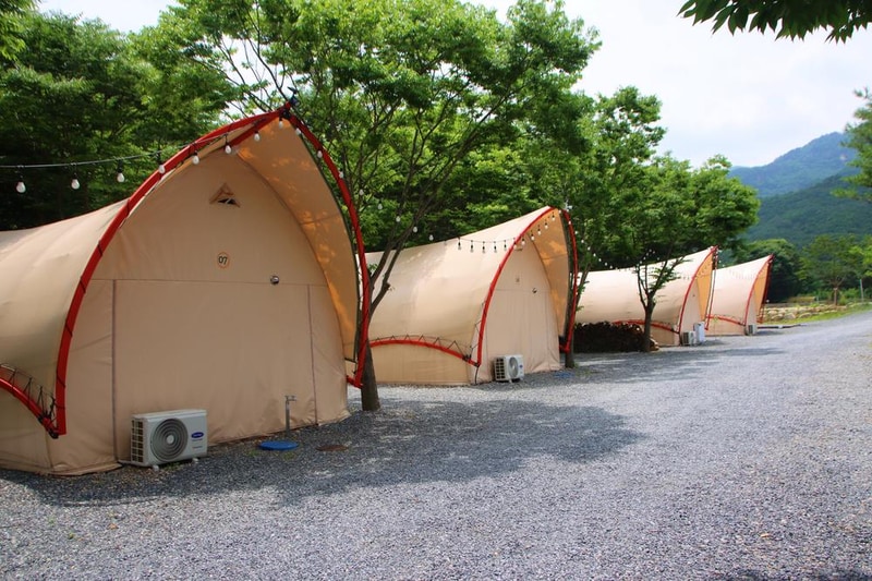 단양 글램핑&펜션 시설 사진 3