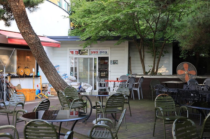 아프리카예술박물관 캠핑장 시설 사진 31