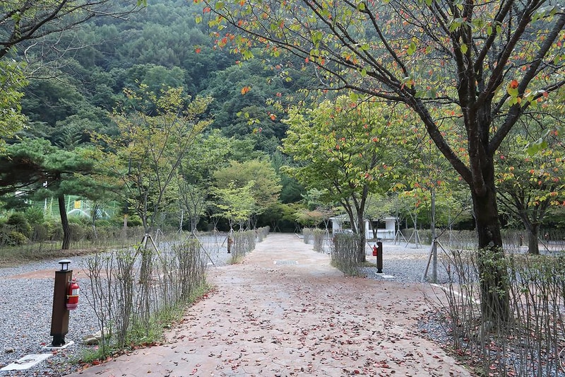 천동오토캠핑장 시설 사진 22
