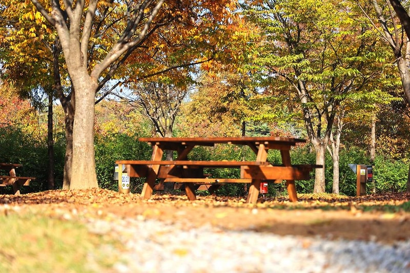 안성맞춤 캠핑장 시설 사진 70