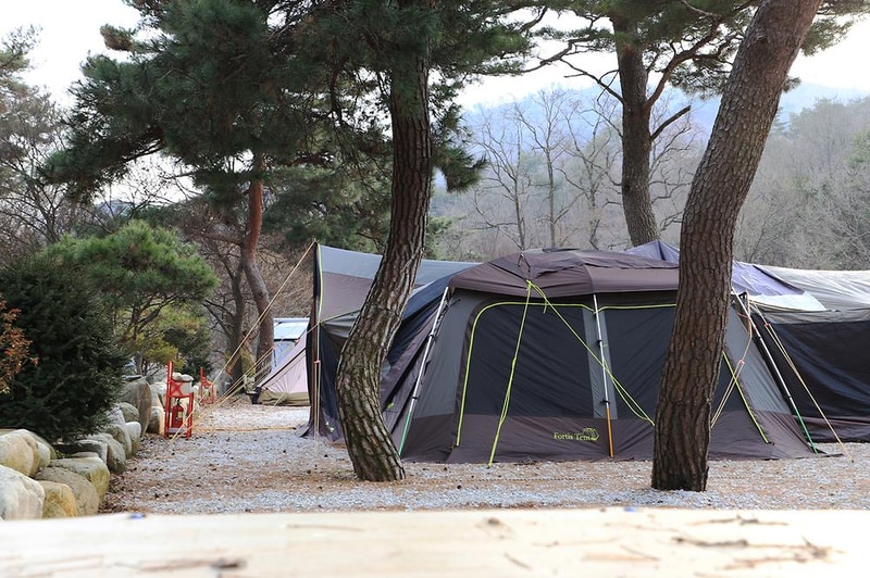 진밭골향기관광농원 야영장 시설 사진 19