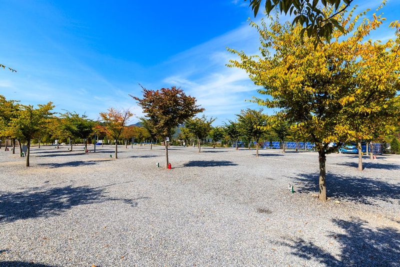 속리산365캠핑장 시설 사진 11