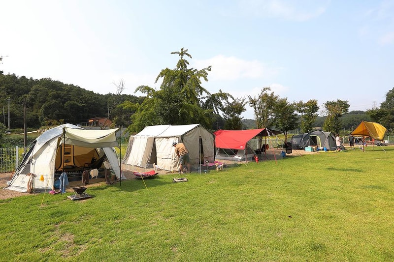 피플앤독 힐링캠핑장 시설 사진 7