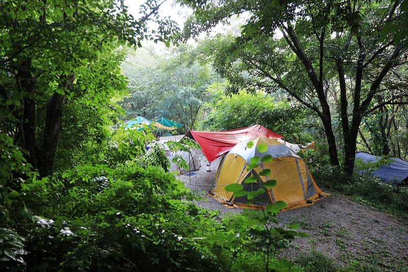 소회산리멍우리협곡관광농원(캠핑장) 시설 사진 8