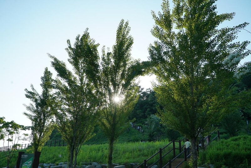 천왕산 가족캠핑장 시설 사진 22