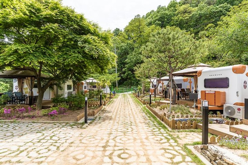 오시유 대표 사진