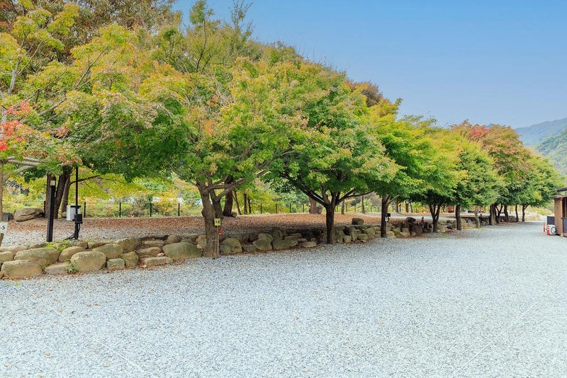 포레스트캐빈앤캠프 시설 사진 10