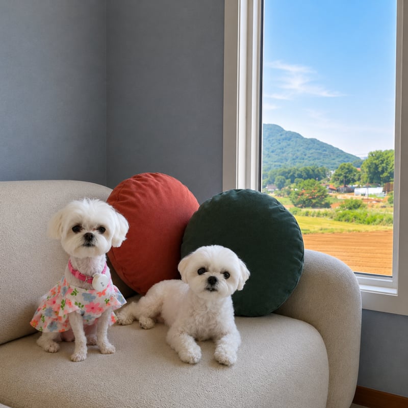 강화도