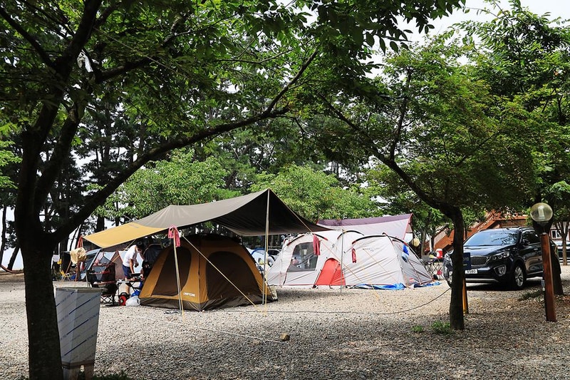 대부도나라캠핑장 시설 사진 17