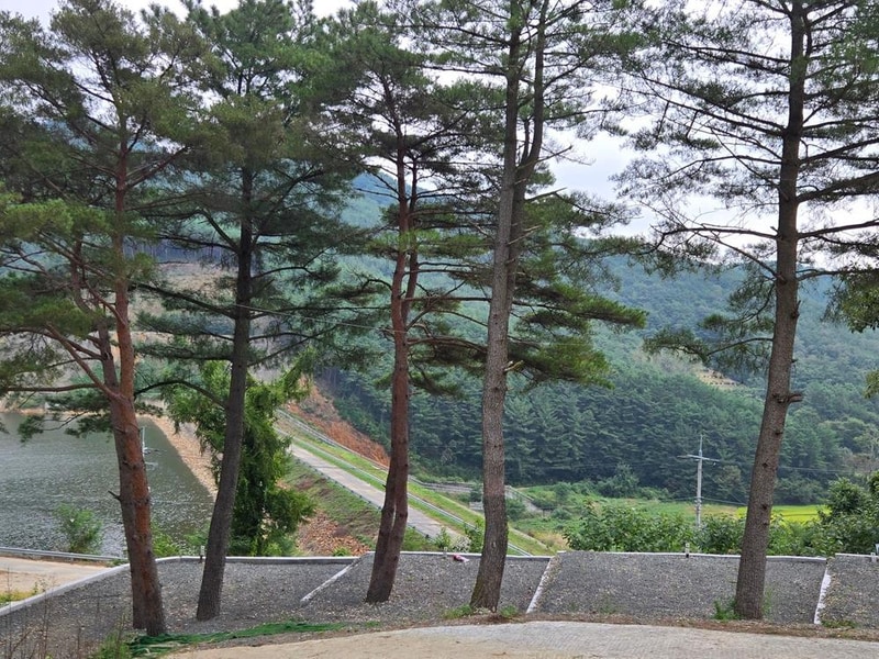 화금지 숲속캠핑장 시설 사진 1