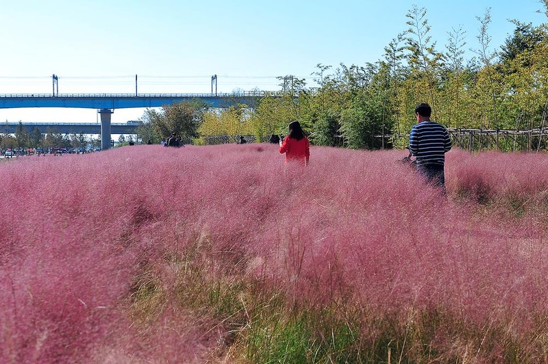대저 캠핑장 시설 사진 2