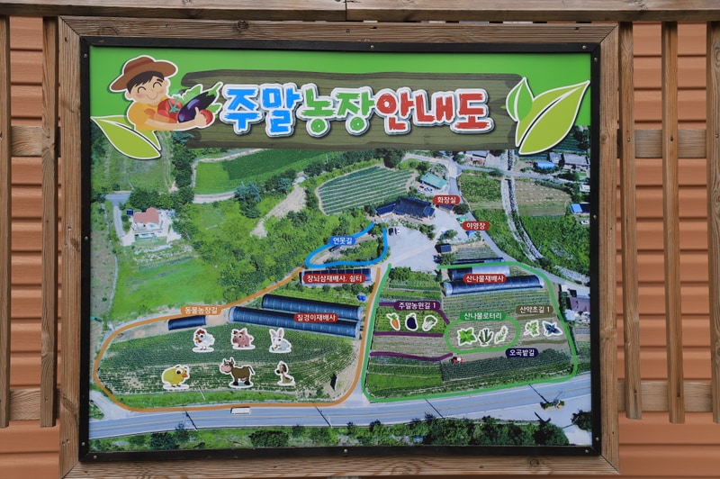 내린천 주말농장 배치도 1