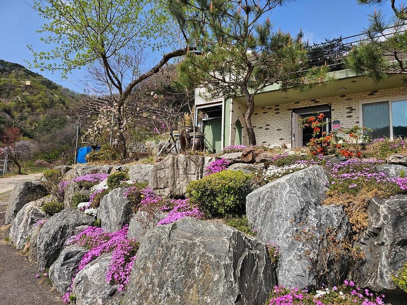 단양 별마루캠핑장 시설 사진 5