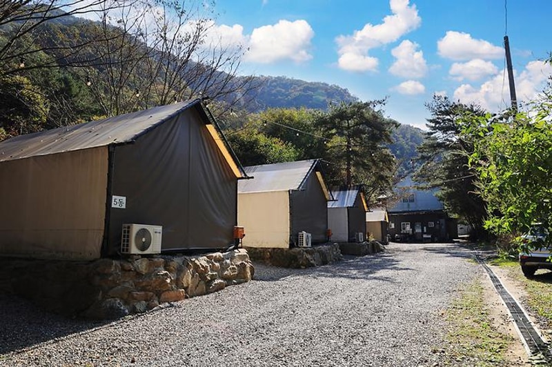 아린 글램핑 대표 사진