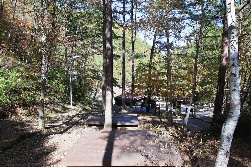 통고산 자연휴양림야영장 시설 사진 12