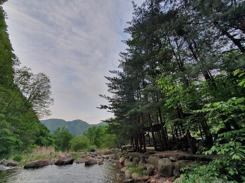 단양 천동계곡 캠핑장 그린농원 시설 사진 30