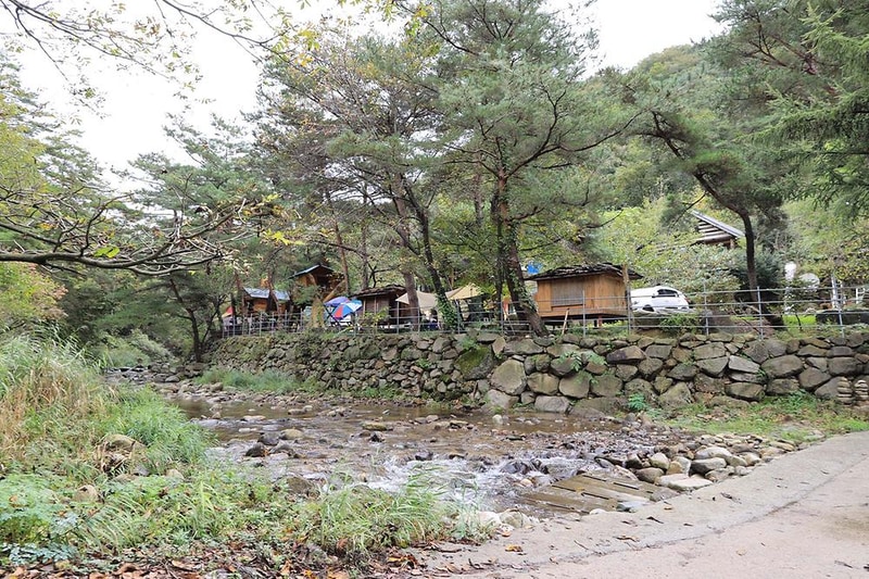 트리하우스계곡야영장 시설 사진 18