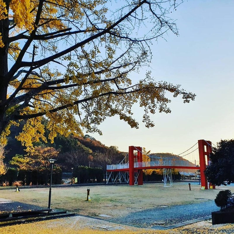 보물섬 캠핑장 시설 사진 4