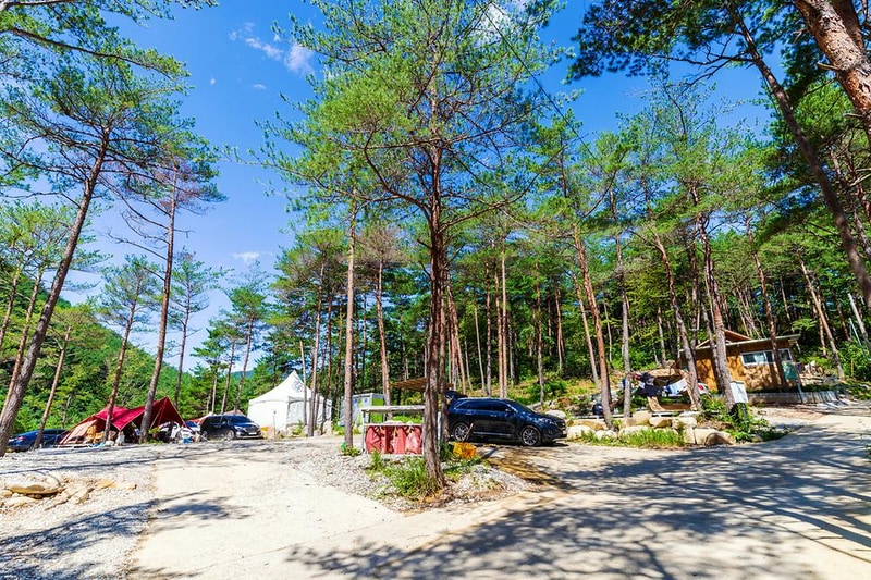 왕피천 숲속 캠핑장 시설 사진 10