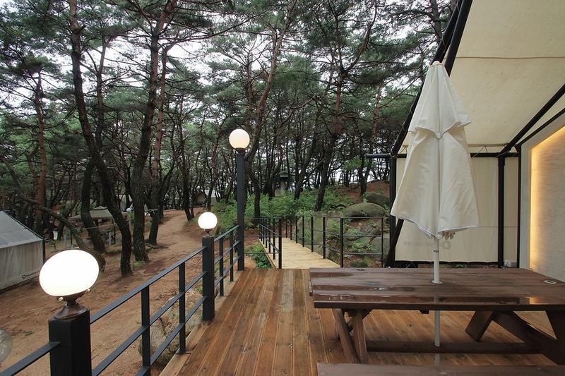 블루마운틴 시설 사진 7