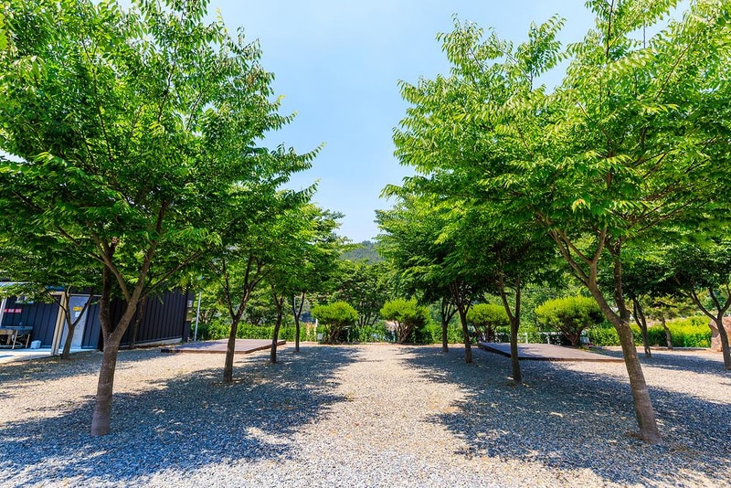 밀양 가보자 캠핑장 시설 사진 10