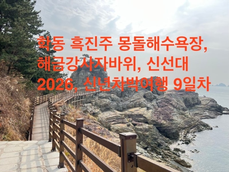 2026, 신년 차박여행 (9일차) : 거제 자연 휴양림, 학동 흑진주...