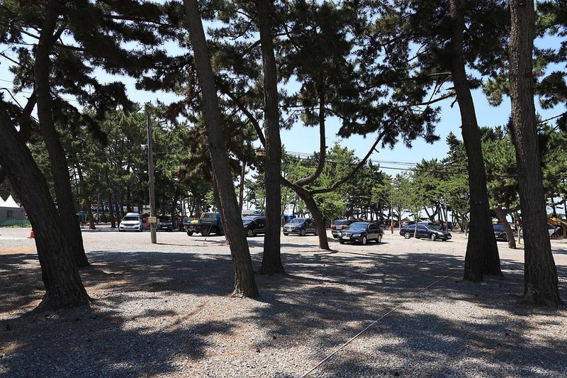 몽산포오토캠핑장 시설 사진 16