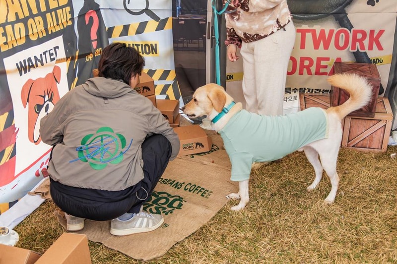 강천섬캠핑장 시설 사진 42