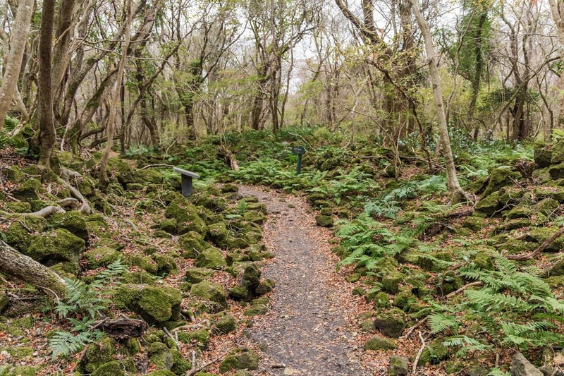 교래자연휴양림야영장 시설 사진 53