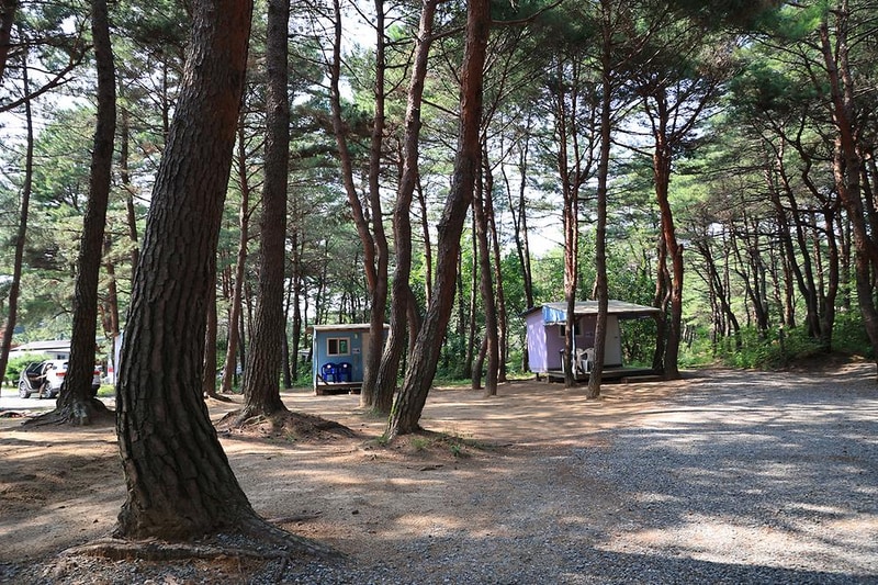 양양 솔바다 캠핑장 시설 사진 2