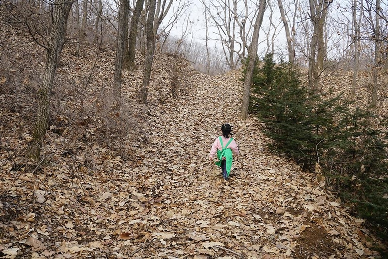 야생초마을아미골 시설 사진 14