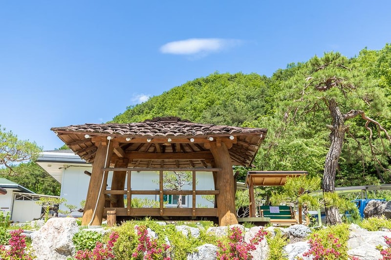 행화촌자연테마파크 시설 사진 17