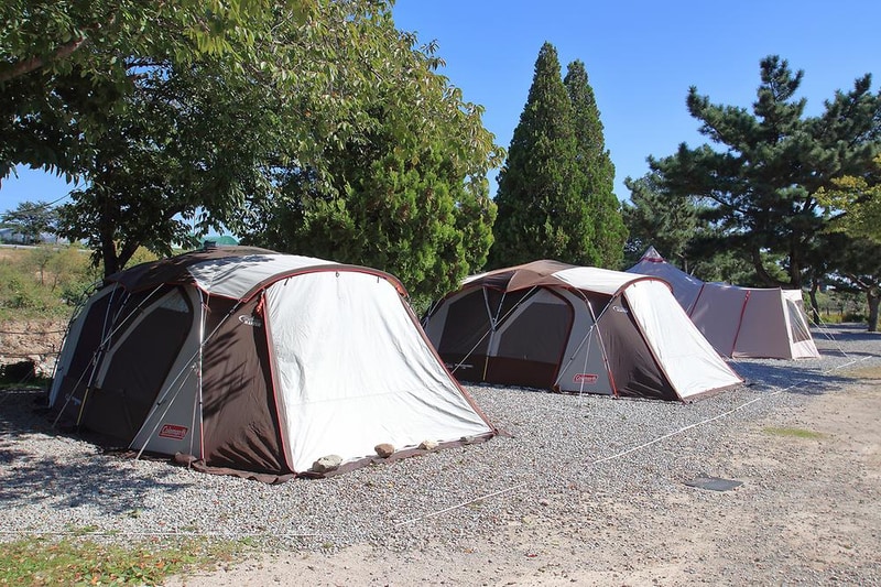 늘푸른캠핑장 시설 사진 6