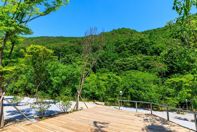 은하수 관광농원 시설 사진 7