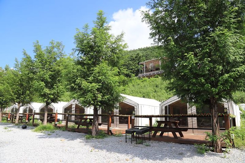 동강글램핑 대표 사진