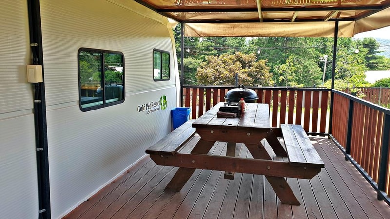 골드펫리조트 시설 사진 11