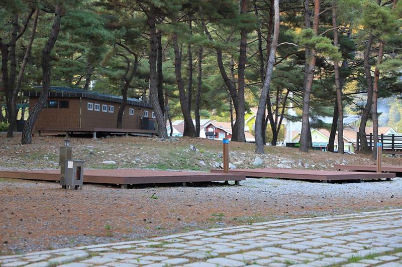 회동솔향캠핑장 대표 사진