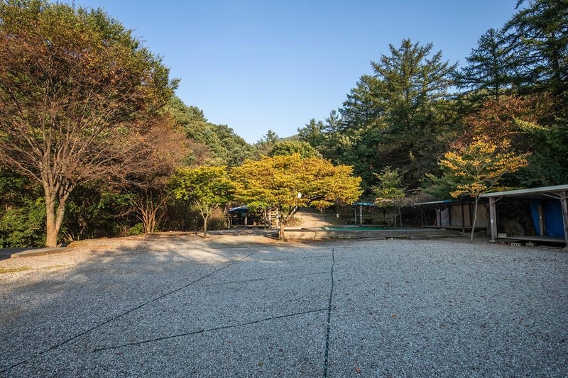 돈내미농장 시설 사진 21