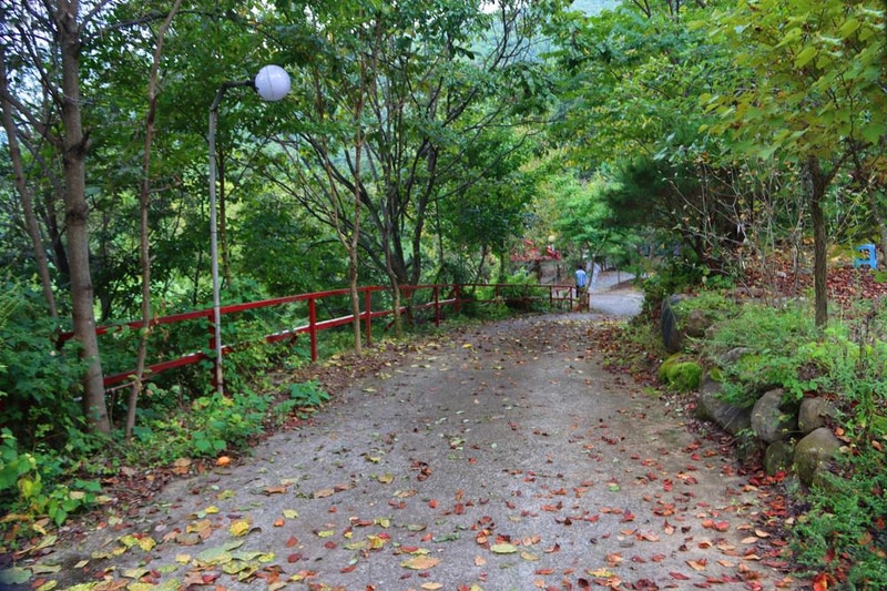 가야산백운오토캠핑장 시설 사진 16