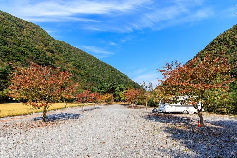 월악산억수솔밭캠핑장 시설 사진 14
