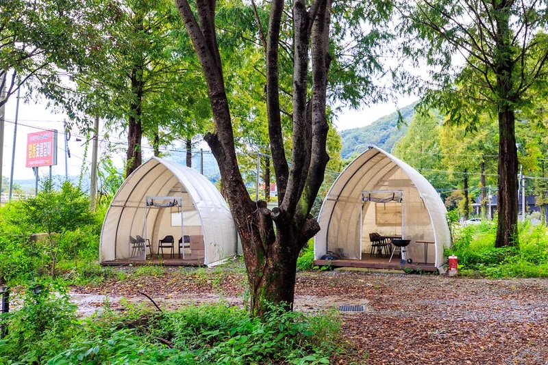 포레스트 캠핑장 시설 사진 7