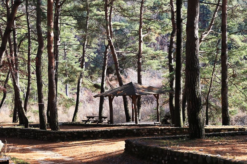 아트인아일랜드 시설 사진 8