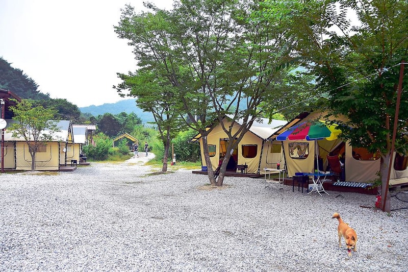 썬오브캠핑장 시설 사진 6