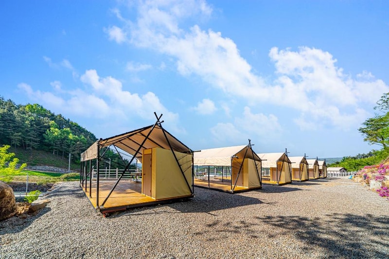 산청프리미엄캠핑장 시설 사진 10