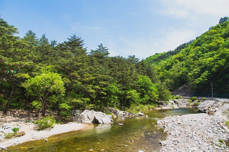 진동리 국민여가캠핑장 by zapza 시설 사진 9