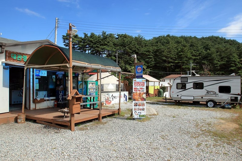 대관령 솔내음 오토 캠핑장 시설 사진 13