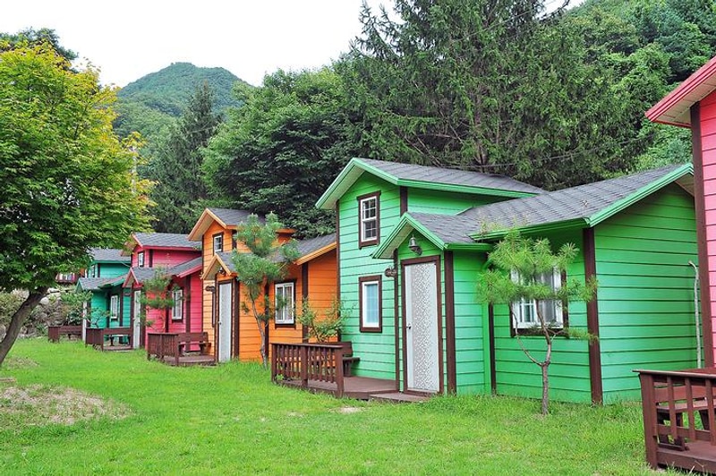 계곡과소나무 캠핑장 대표 사진