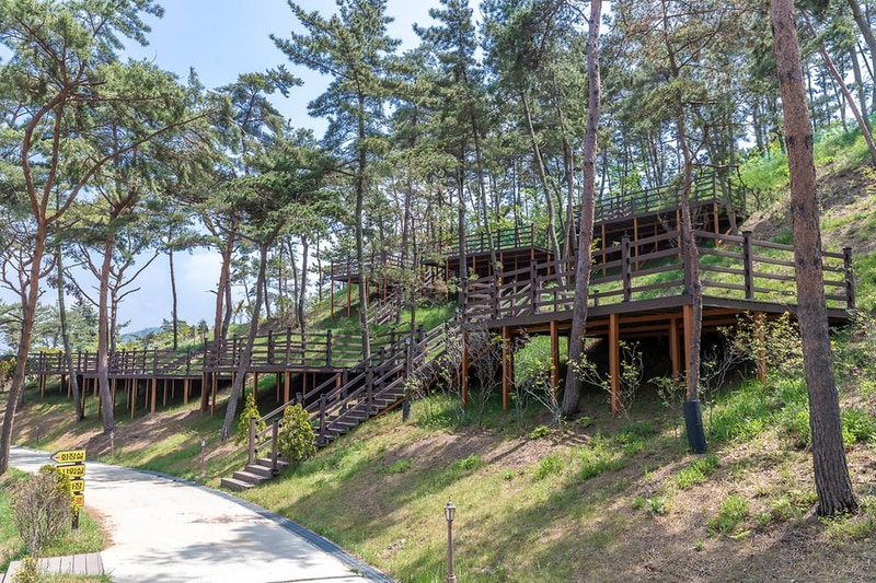 솔향기캠핑장 시설 사진 7